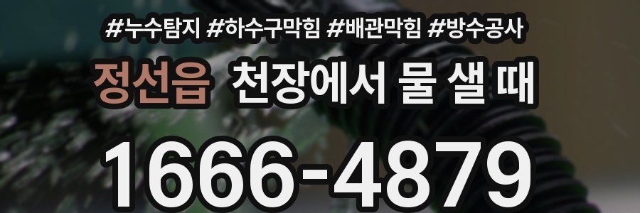 정선읍 천장에서 물 샐 때