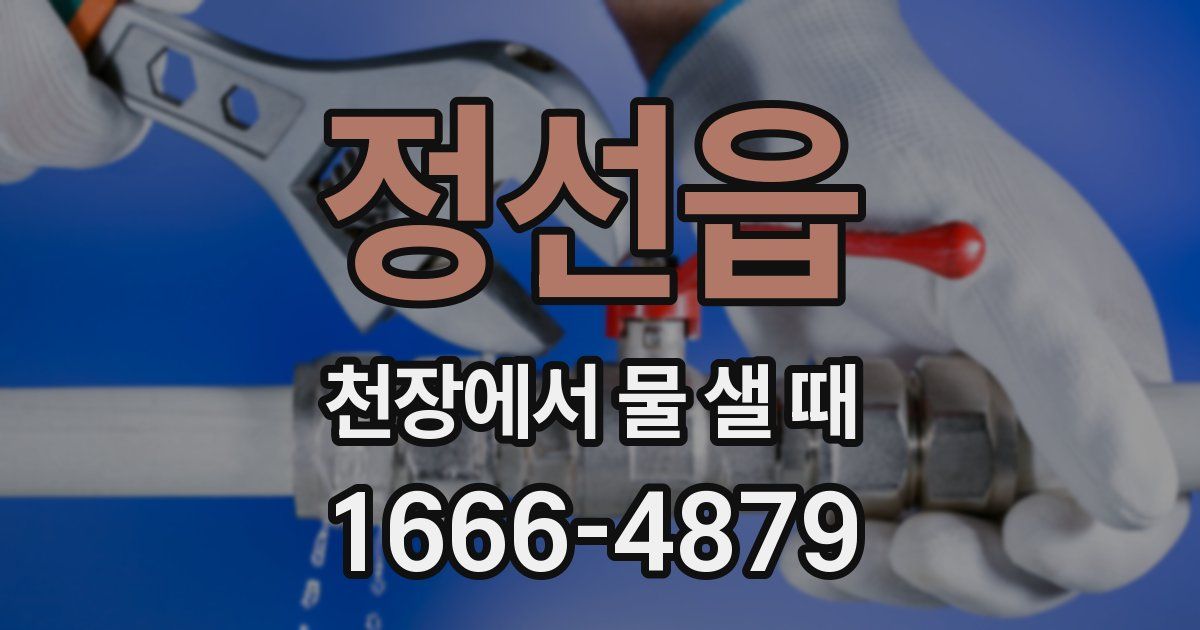정선읍 천장에서 물 샐 때