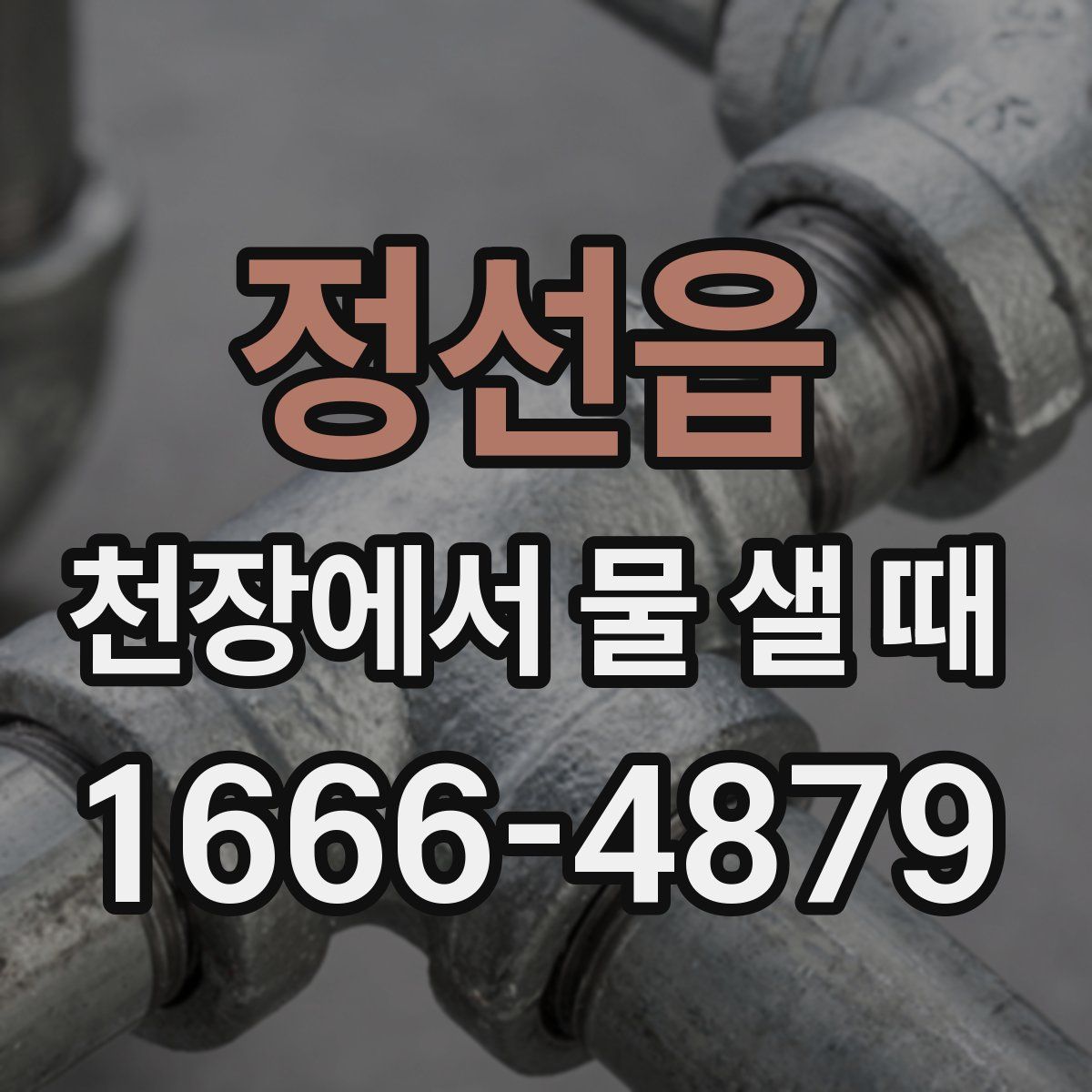 정선읍 천장에서 물 샐 때