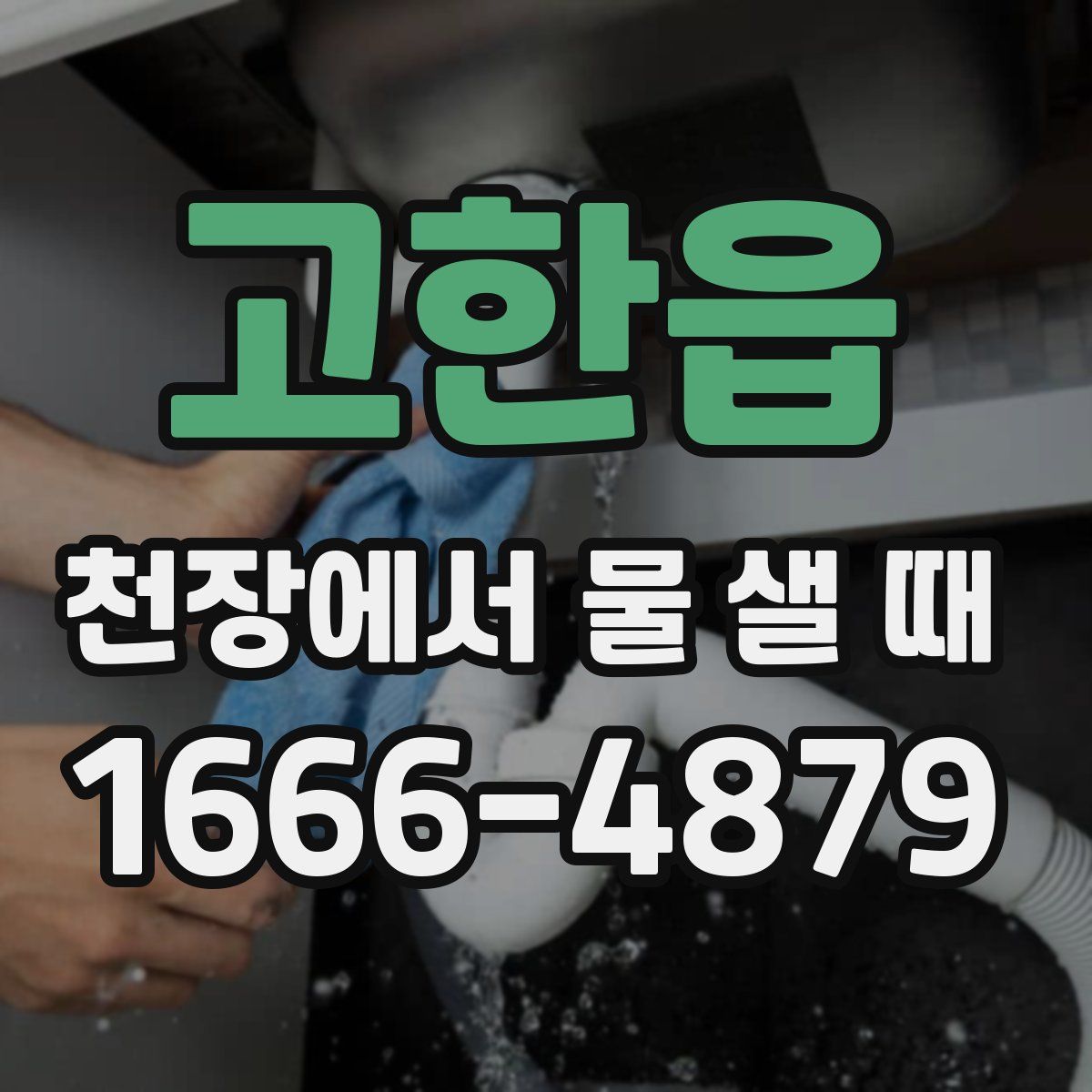 고한읍 천장에서 물 샐 때