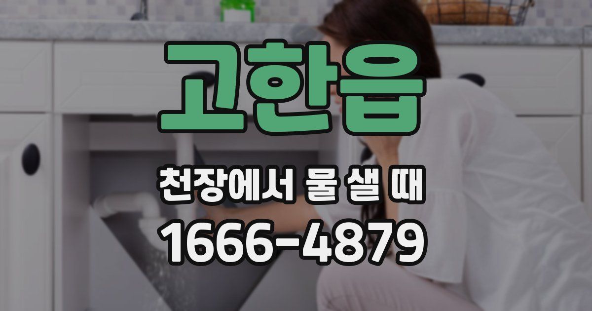 고한읍 천장에서 물 샐 때