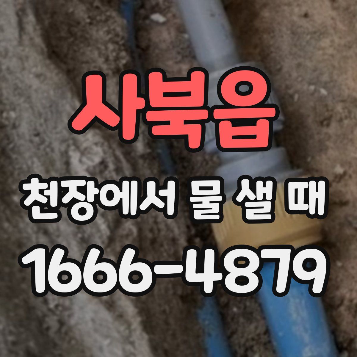 사북읍 천장에서 물 샐 때