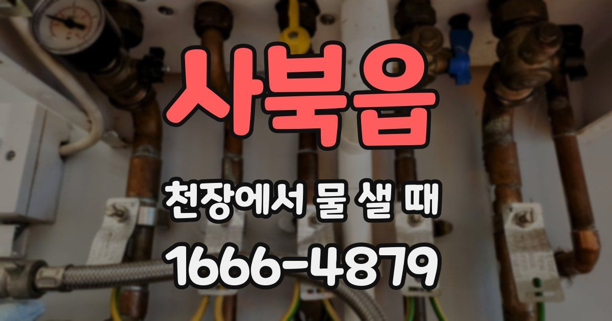 사북읍 천장에서 물 샐 때