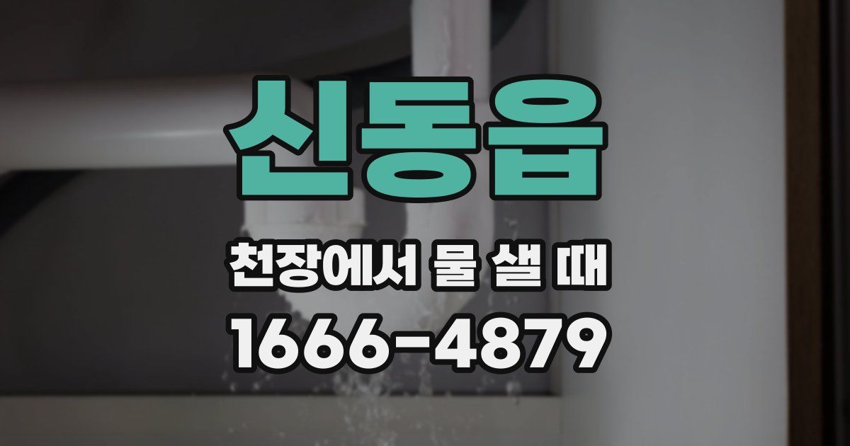 신동읍 천장에서 물 샐 때