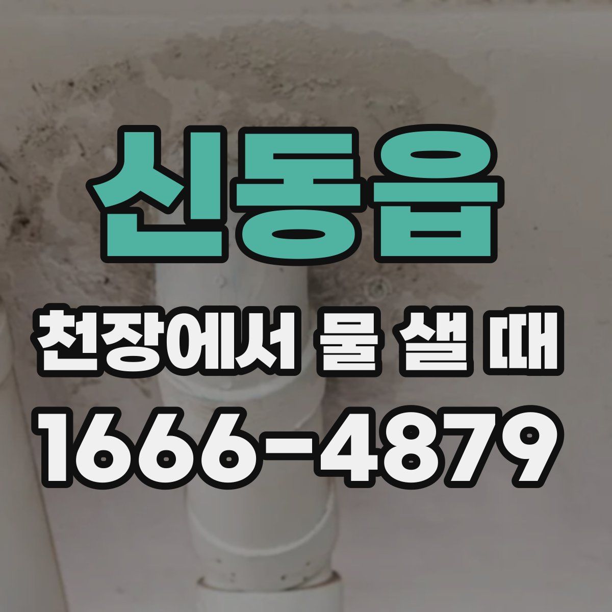 신동읍 천장에서 물 샐 때