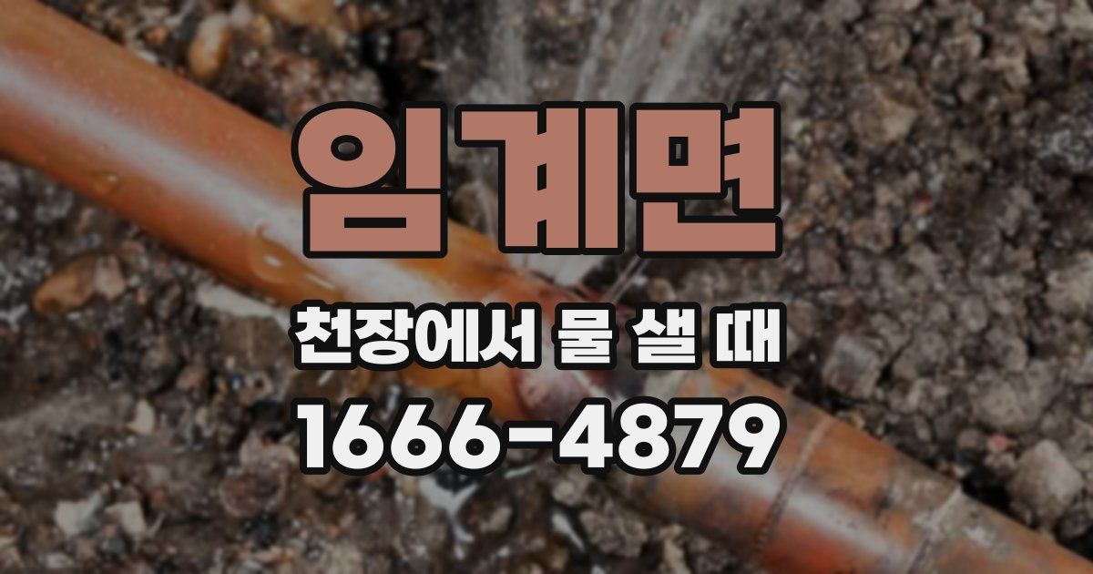 임계면 천장에서 물 샐 때