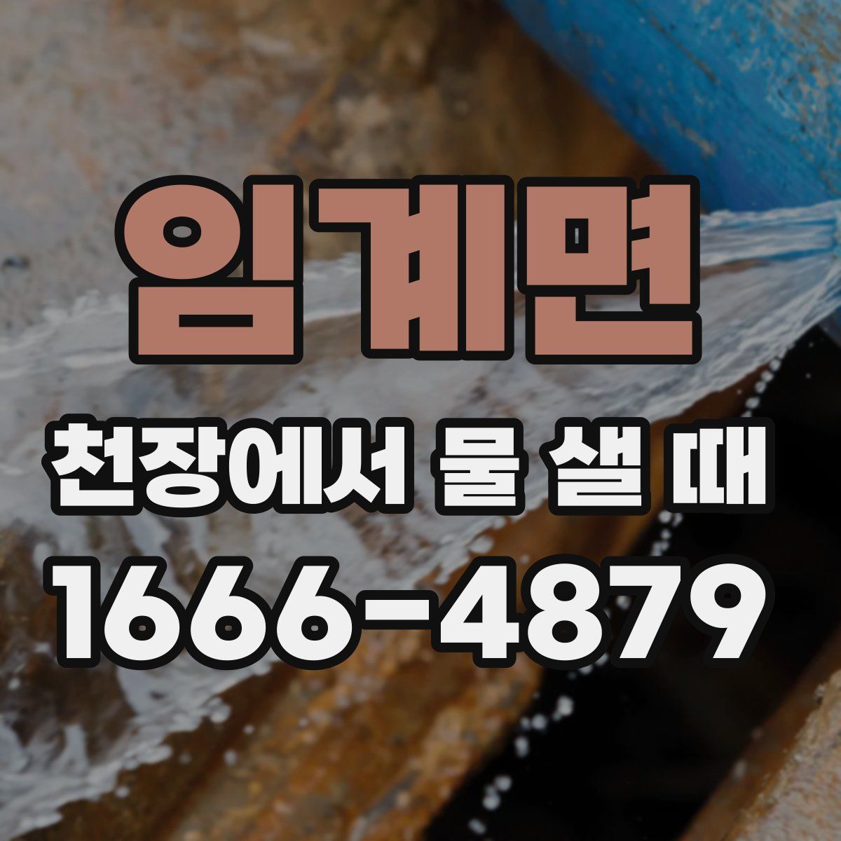 임계면 천장에서 물 샐 때