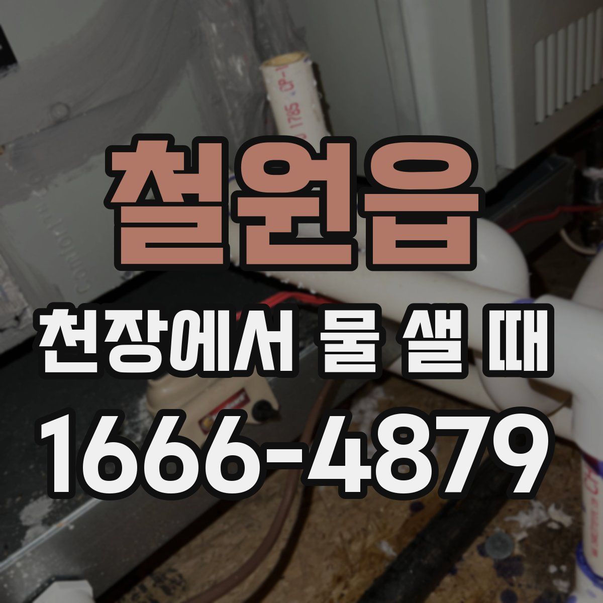 철원읍 천장에서 물 샐 때