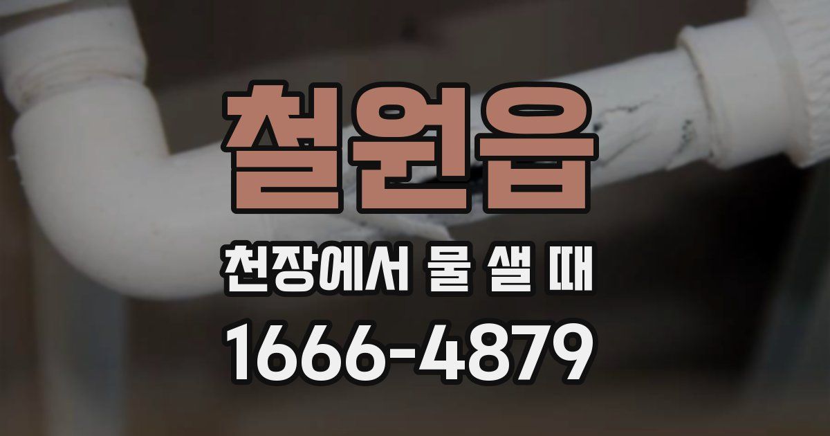 철원읍 천장에서 물 샐 때
