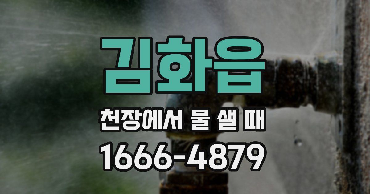 김화읍 천장에서 물 샐 때