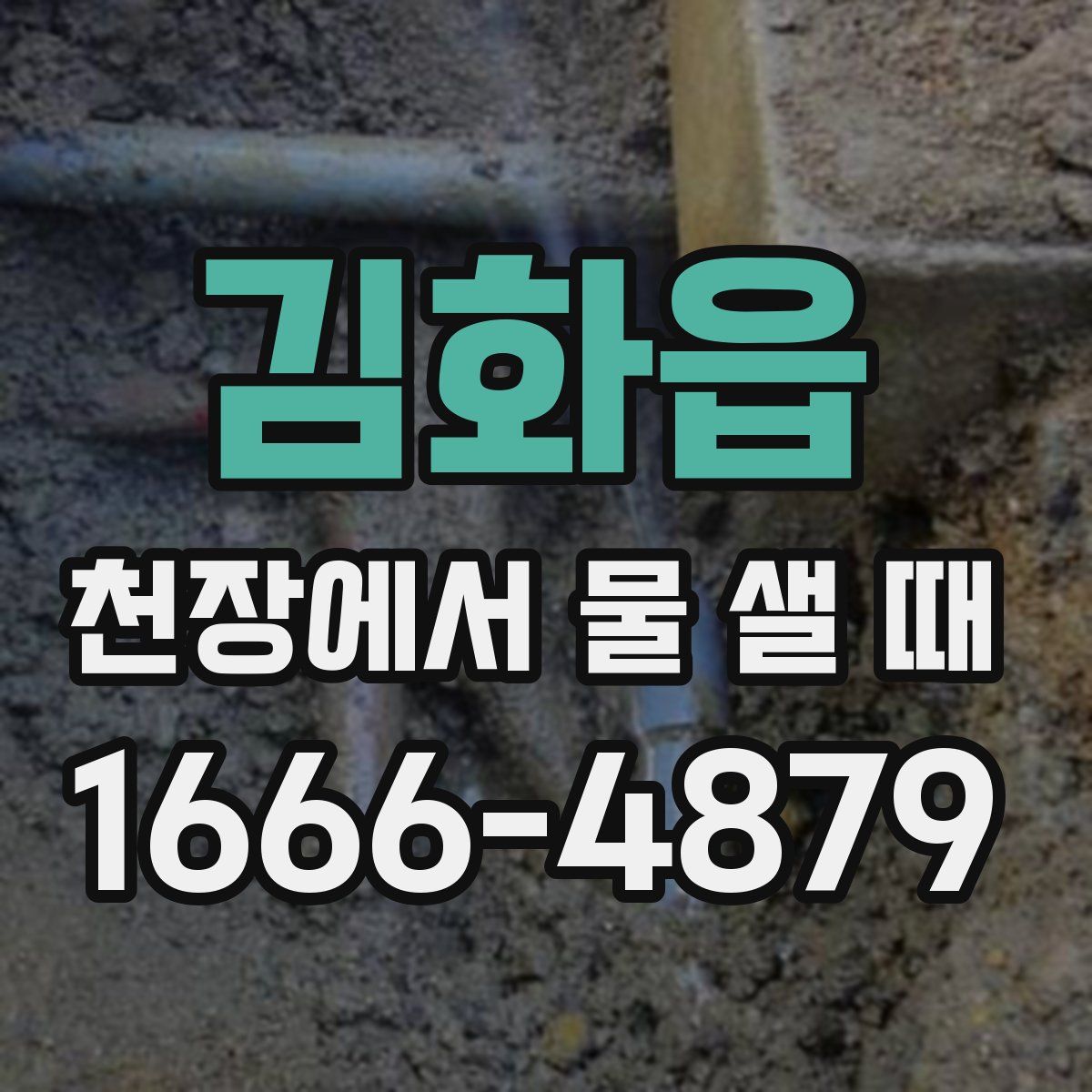 김화읍 천장에서 물 샐 때