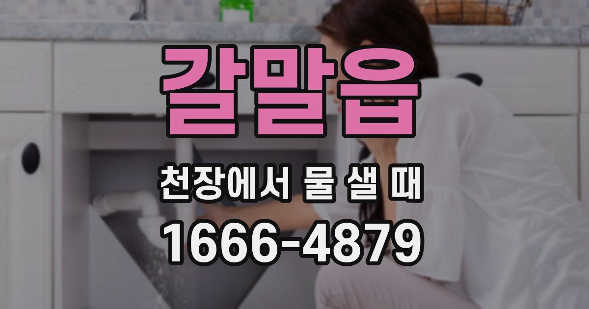 갈말읍 천장에서 물 샐 때
