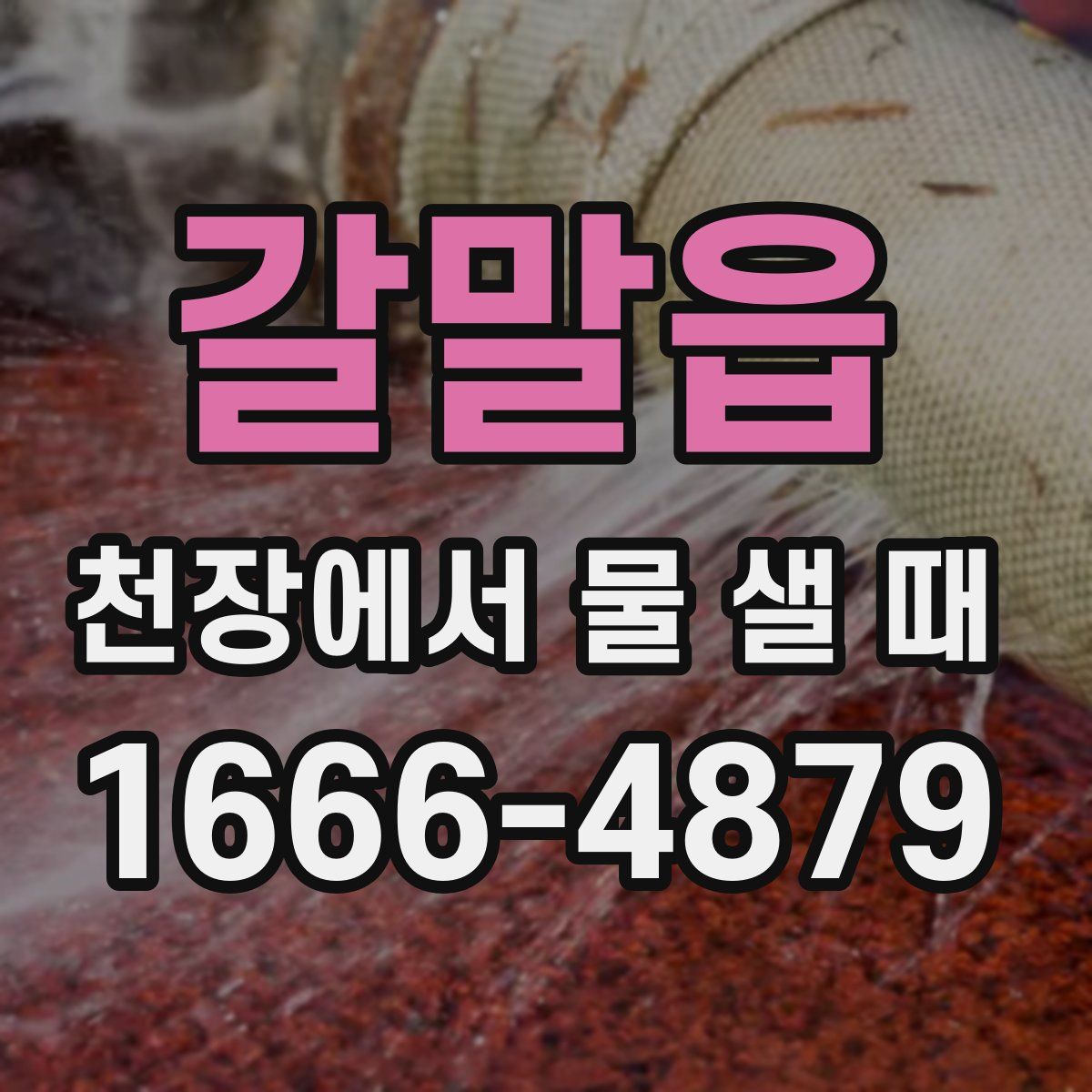 갈말읍 천장에서 물 샐 때