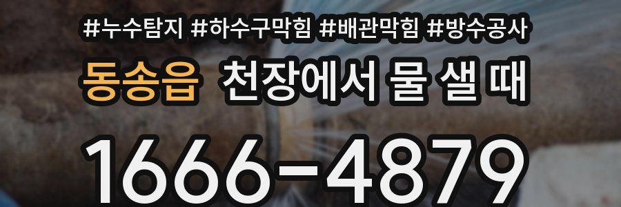 동송읍 천장에서 물 샐 때
