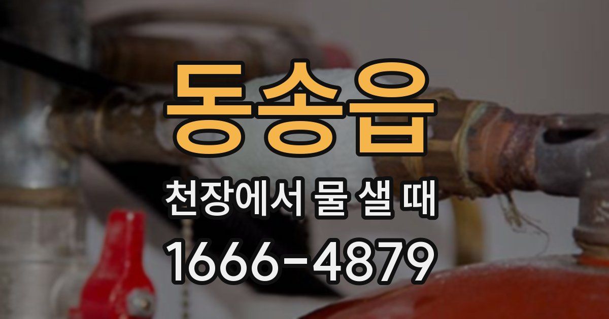 동송읍 천장에서 물 샐 때