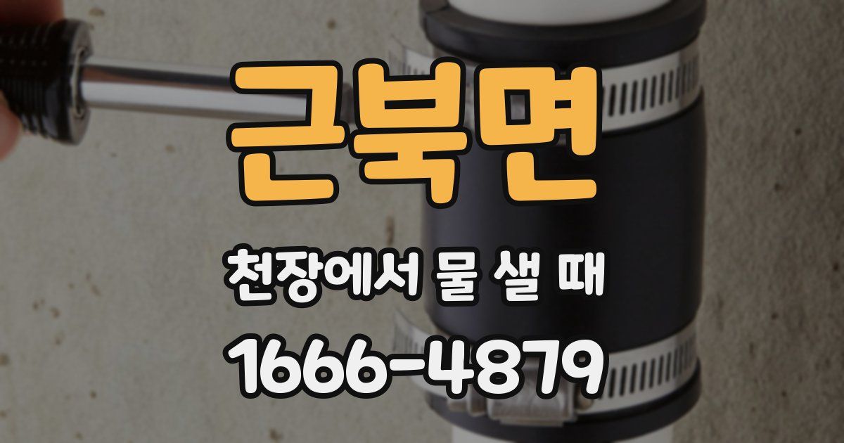 근북면 천장에서 물 샐 때