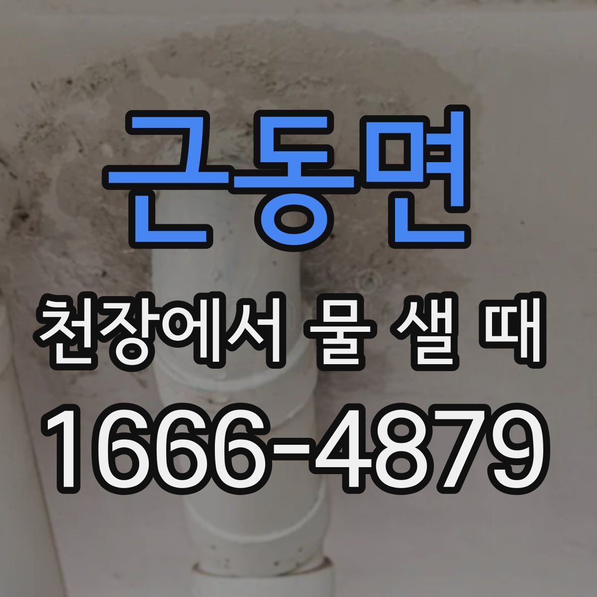 근동면 천장에서 물 샐 때