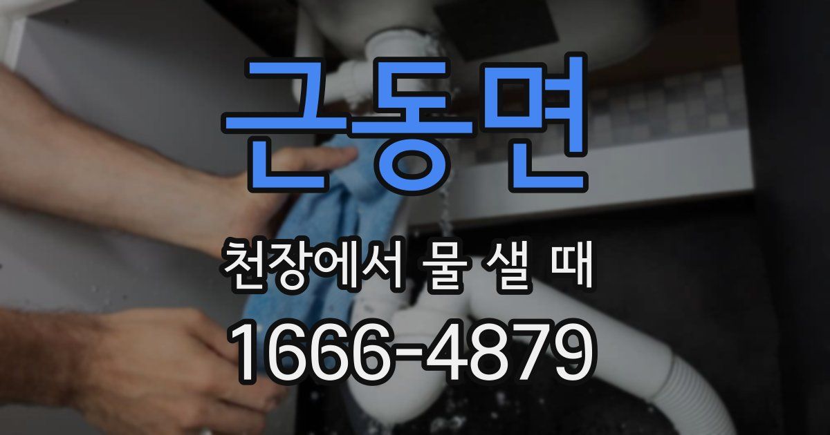 근동면 천장에서 물 샐 때