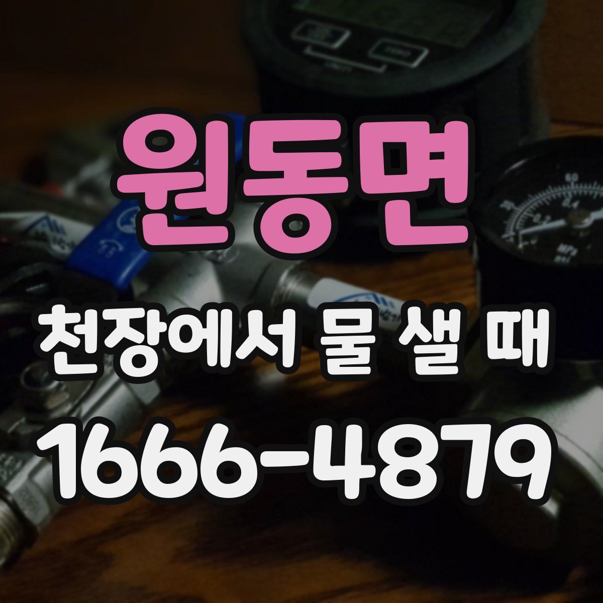 원동면 천장에서 물 샐 때
