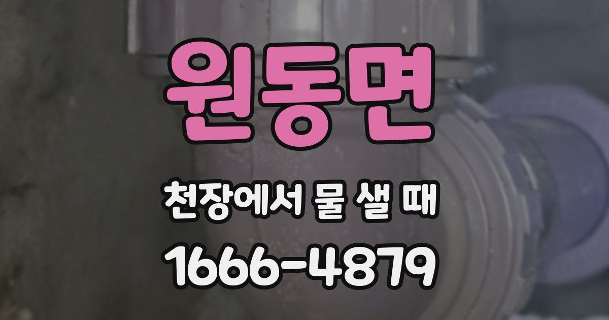 원동면 천장에서 물 샐 때