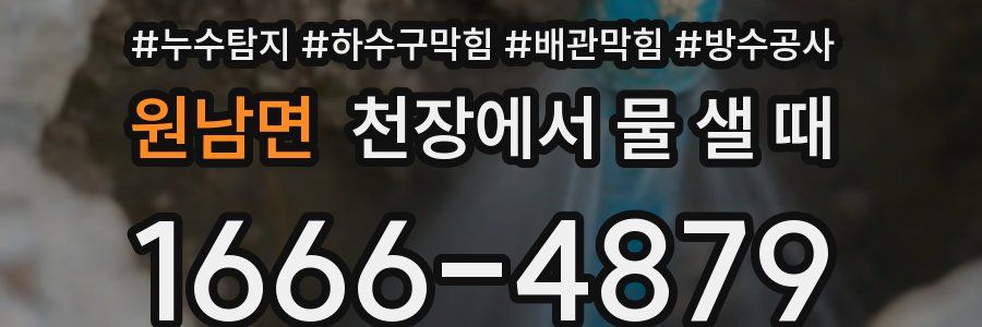 원남면 천장에서 물 샐 때