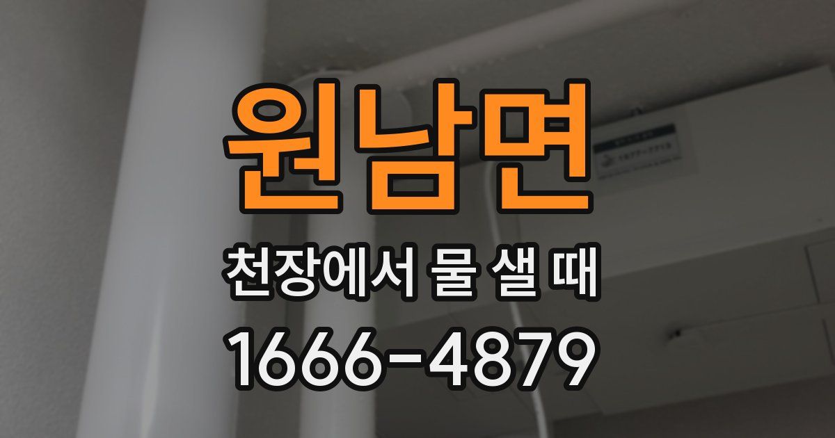 원남면 천장에서 물 샐 때