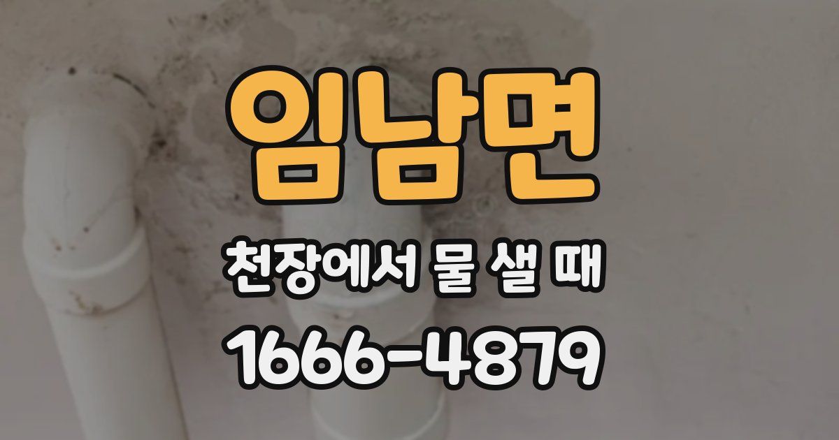임남면 천장에서 물 샐 때