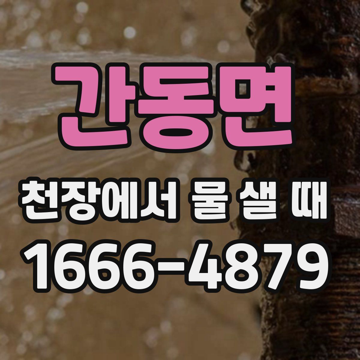 간동면 천장에서 물 샐 때