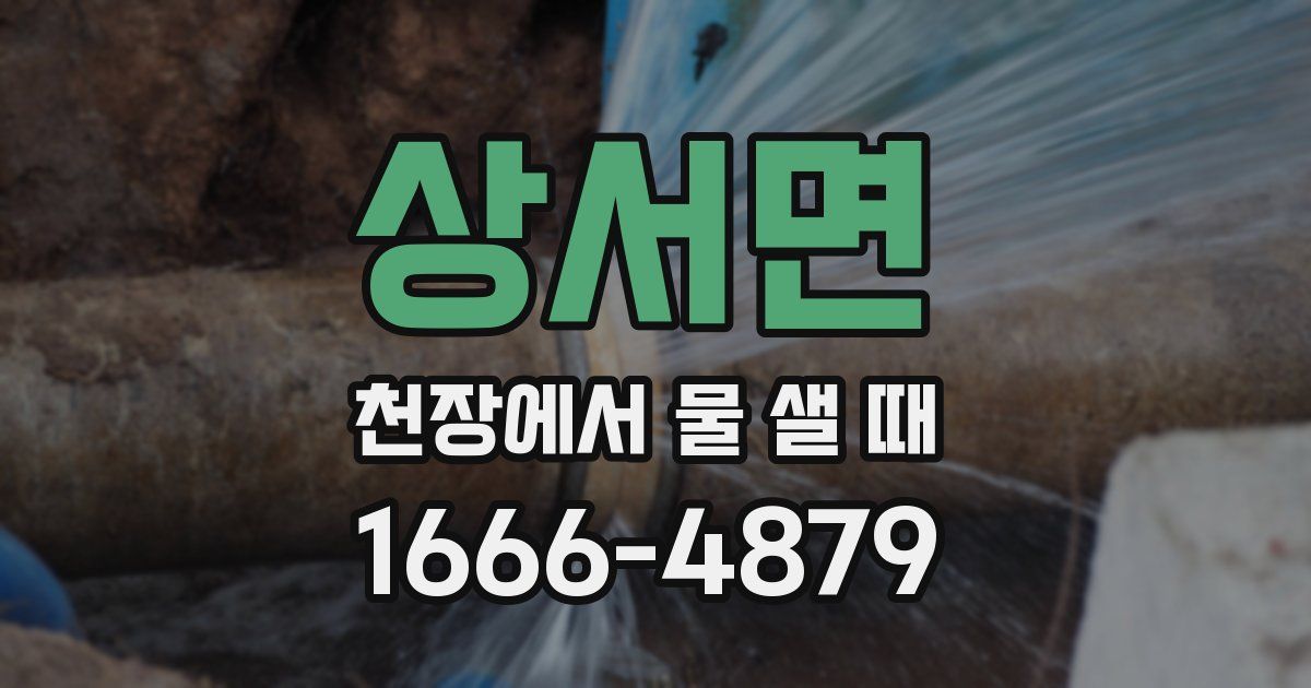 상서면 천장에서 물 샐 때