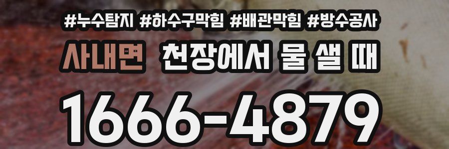사내면 천장에서 물 샐 때