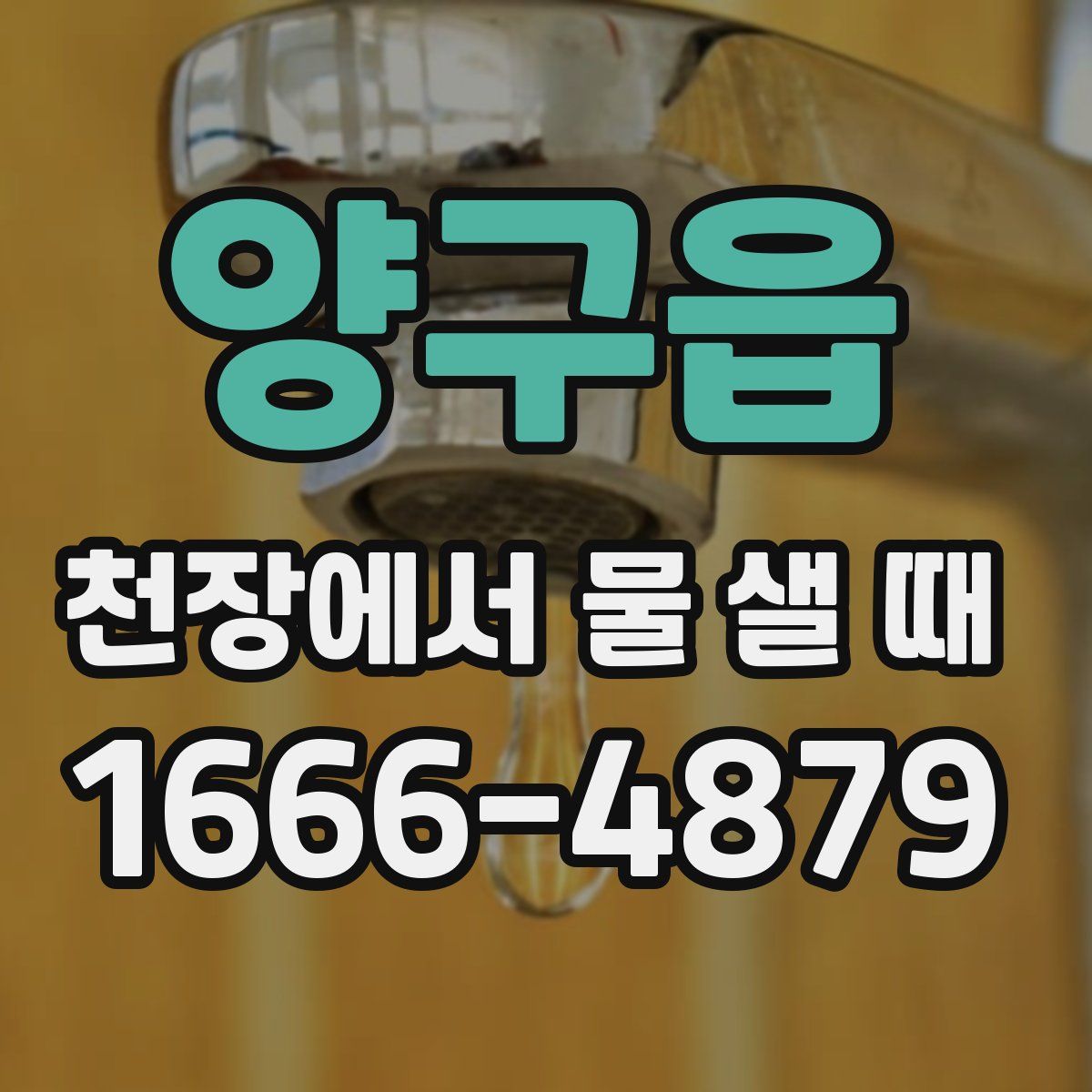 양구읍 천장에서 물 샐 때