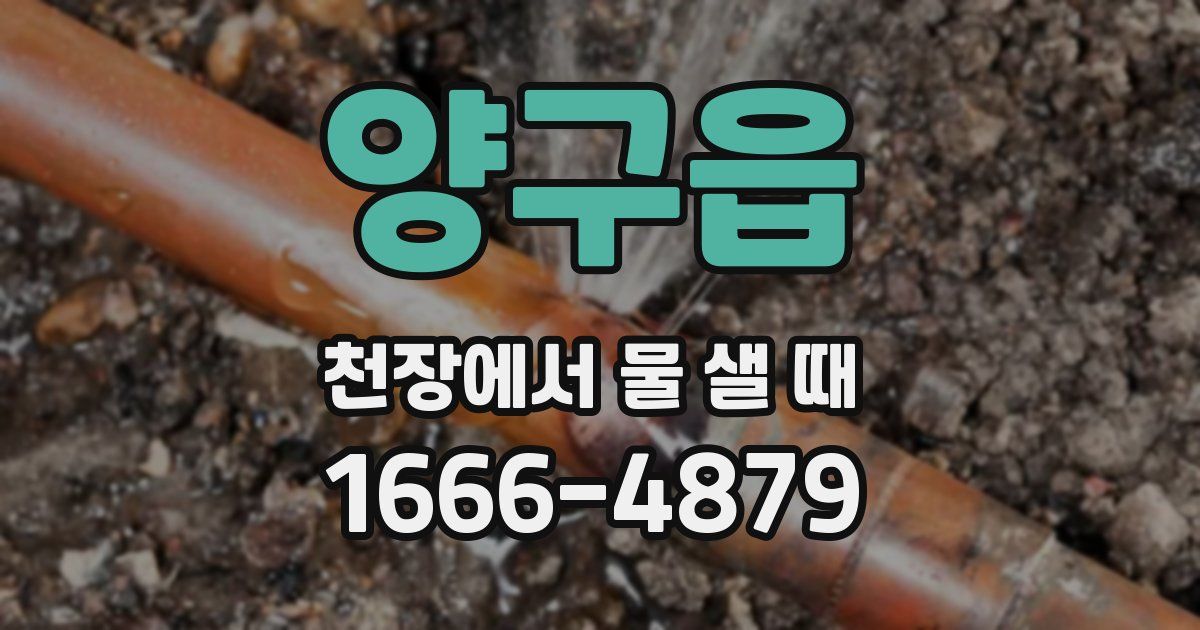 양구읍 천장에서 물 샐 때