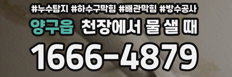 양구읍 천장에서 물 샐 때