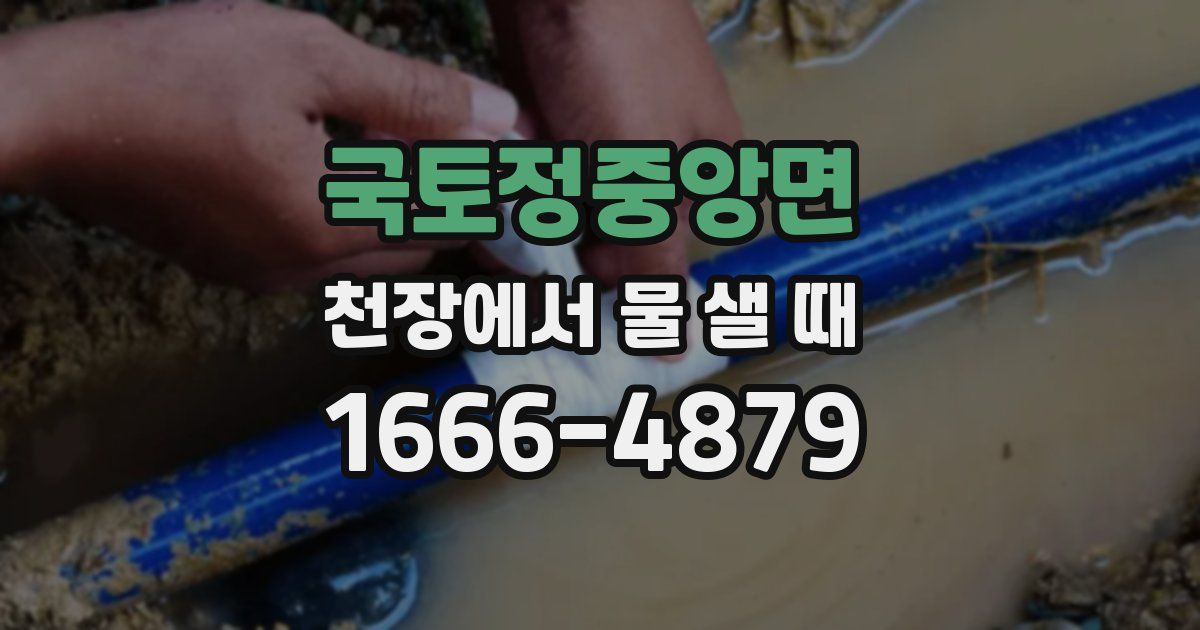 국토정중앙면 천장에서 물 샐 때