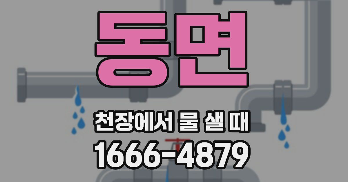 동면 천장에서 물 샐 때