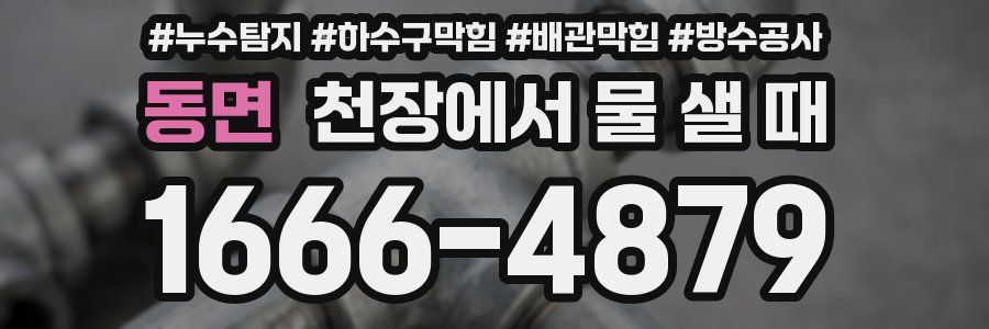 동면 천장에서 물 샐 때