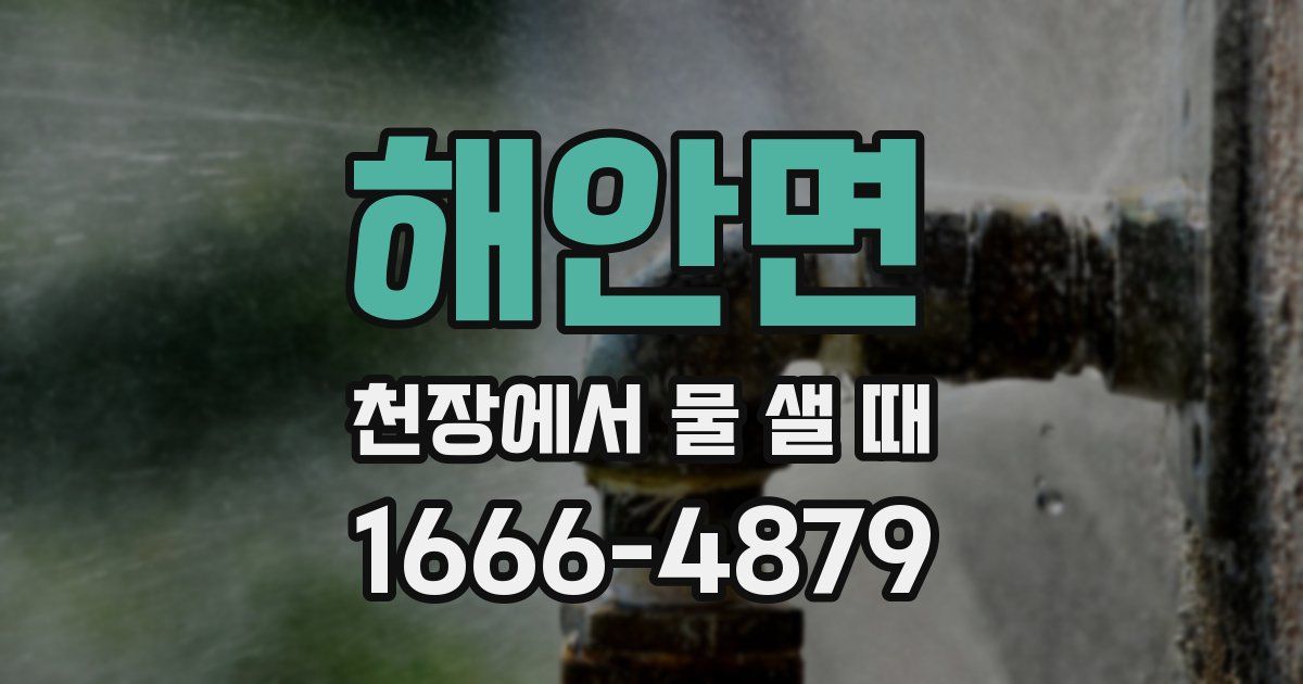 해안면 천장에서 물 샐 때