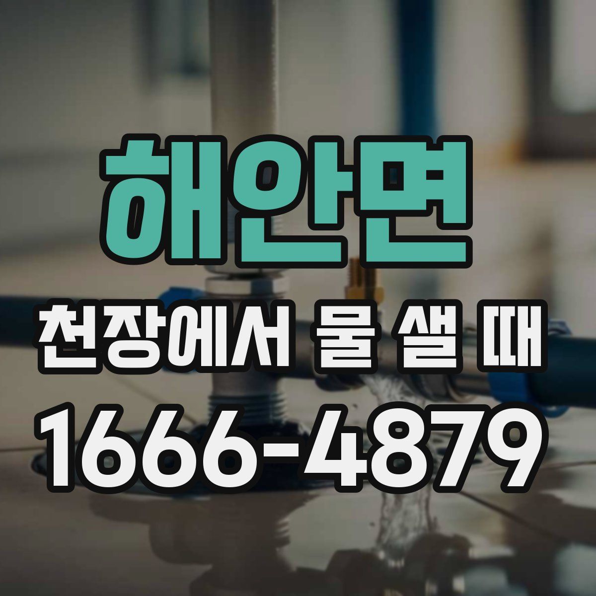 해안면 천장에서 물 샐 때