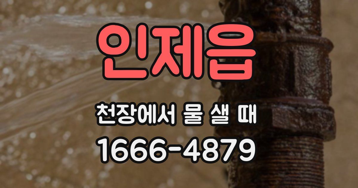 인제읍 천장에서 물 샐 때