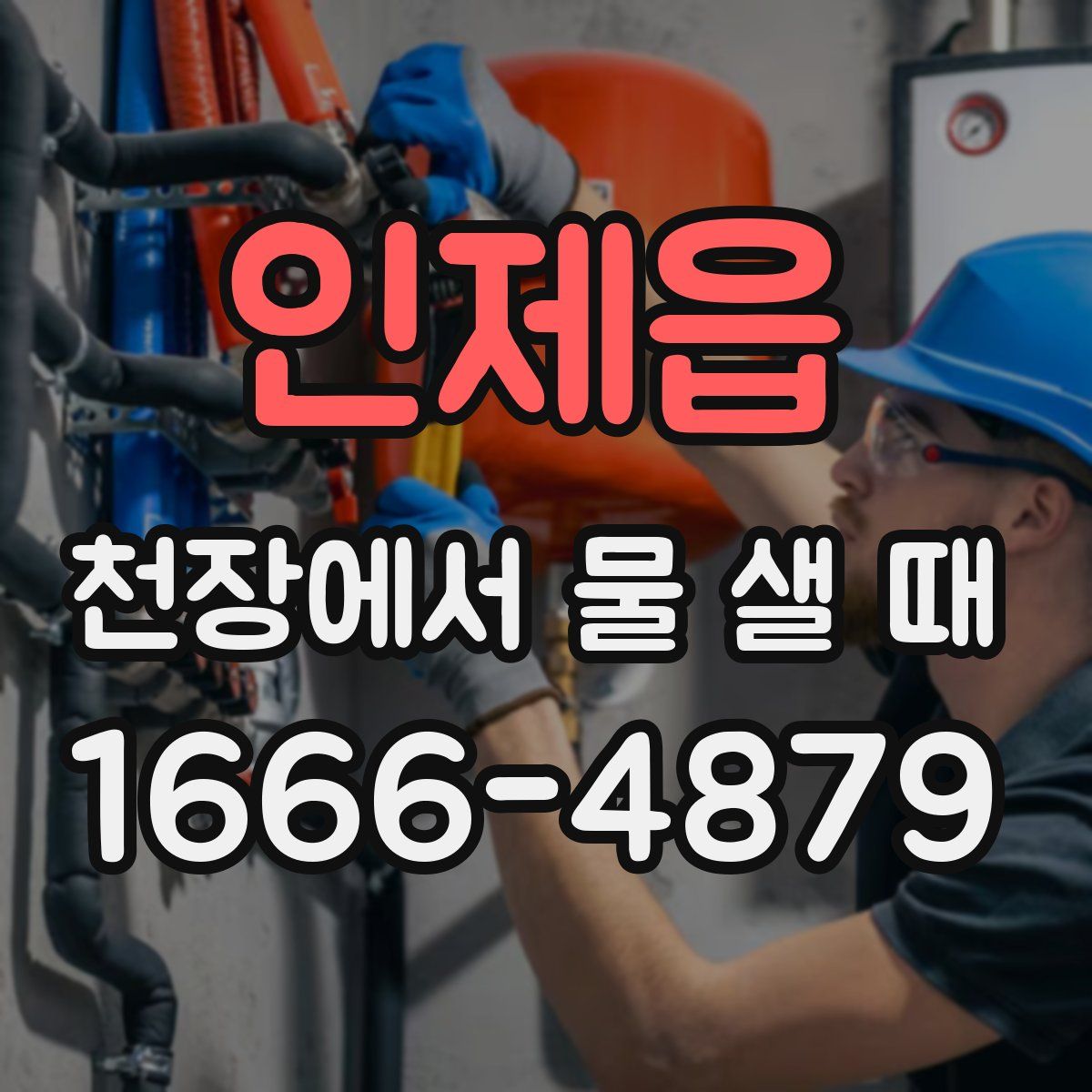 인제읍 천장에서 물 샐 때