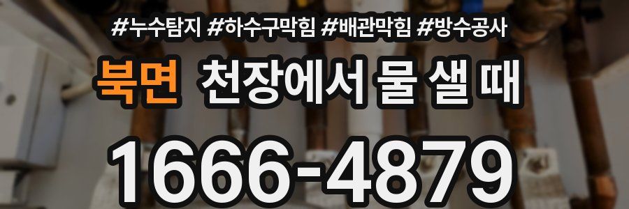 북면 천장에서 물 샐 때