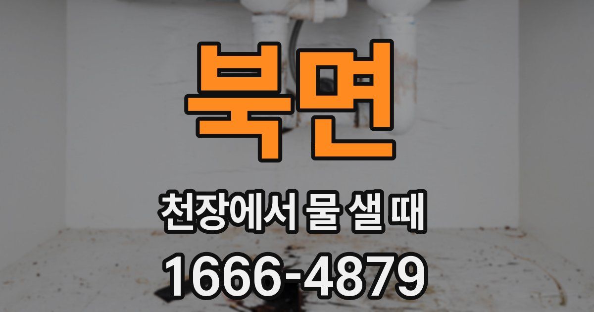 북면 천장에서 물 샐 때