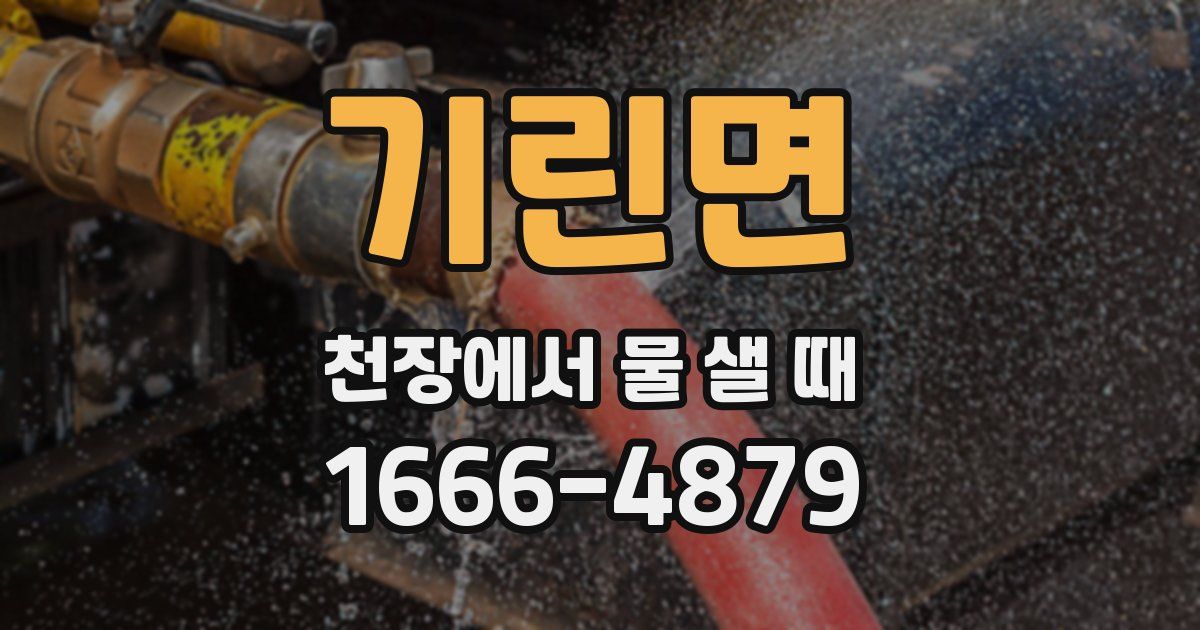 기린면 천장에서 물 샐 때