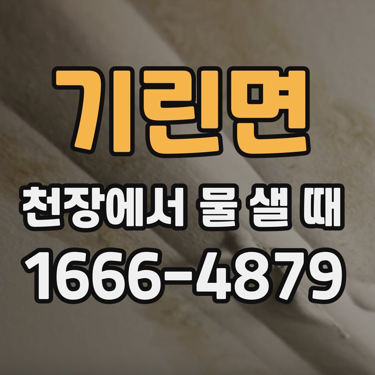 기린면 천장에서 물 샐 때