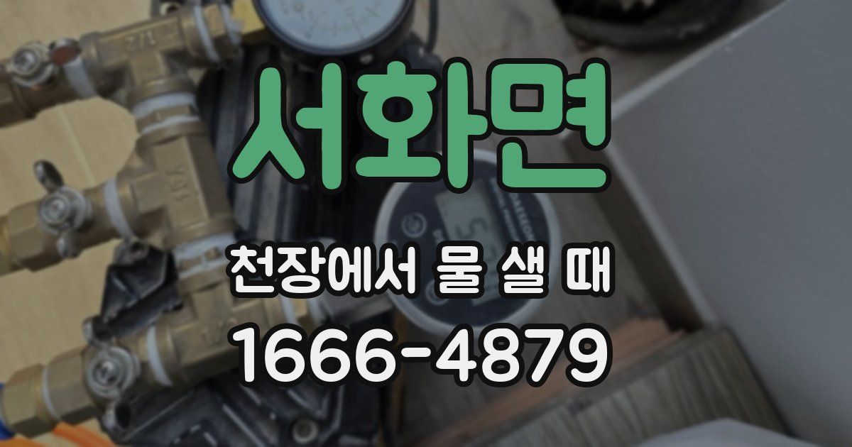 서화면 천장에서 물 샐 때