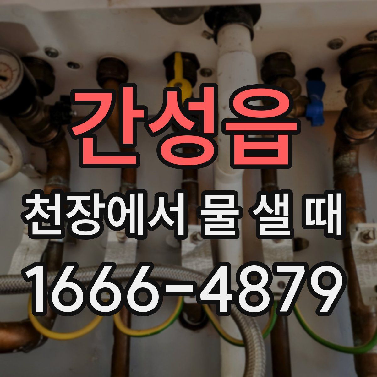 간성읍 천장에서 물 샐 때