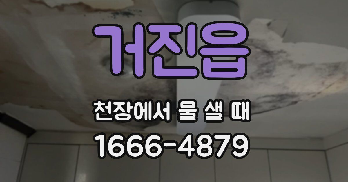 거진읍 천장에서 물 샐 때