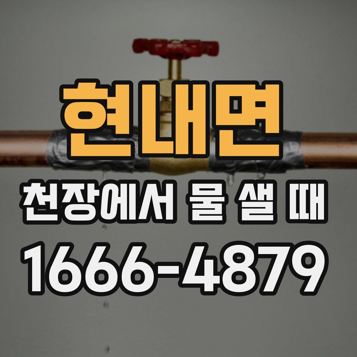 현내면 천장에서 물 샐 때