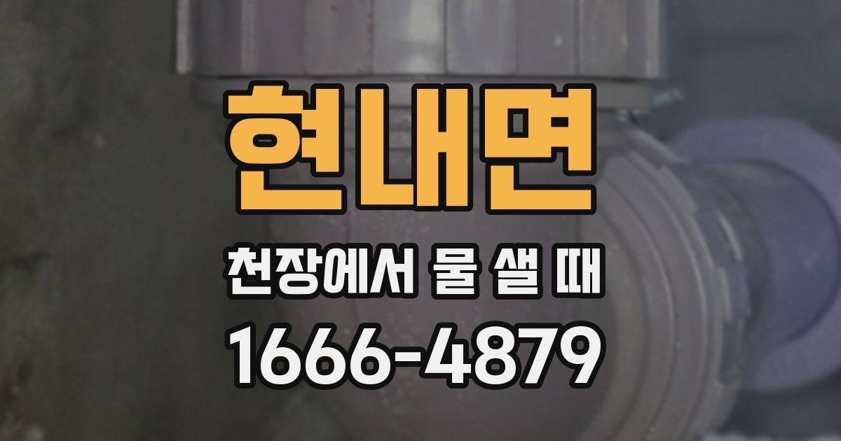 현내면 천장에서 물 샐 때