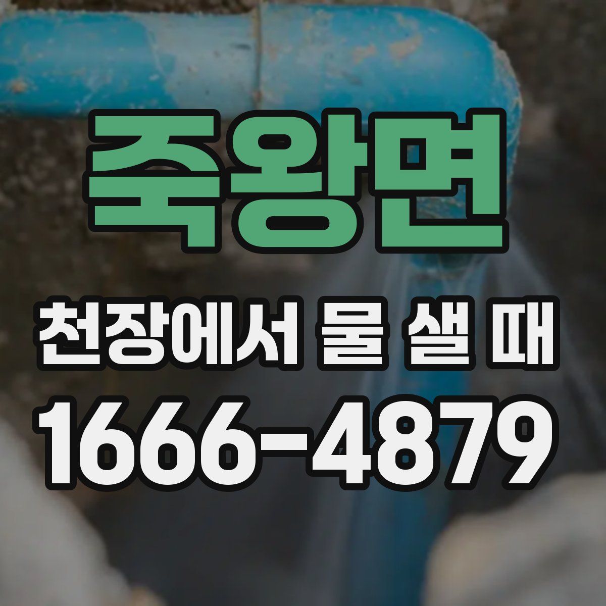 죽왕면 천장에서 물 샐 때